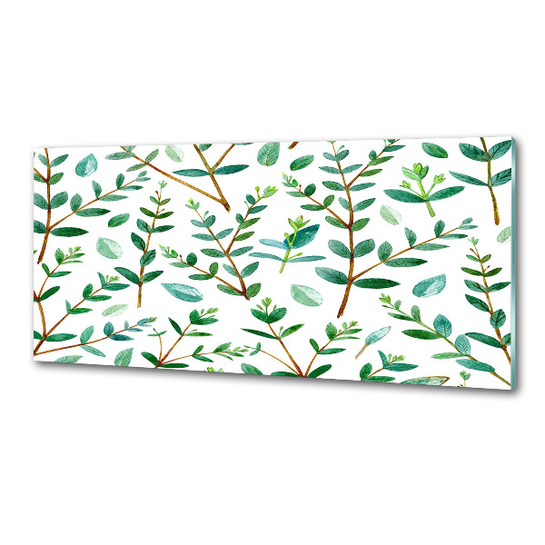 Glazen achterwand keuken Eucalyptus