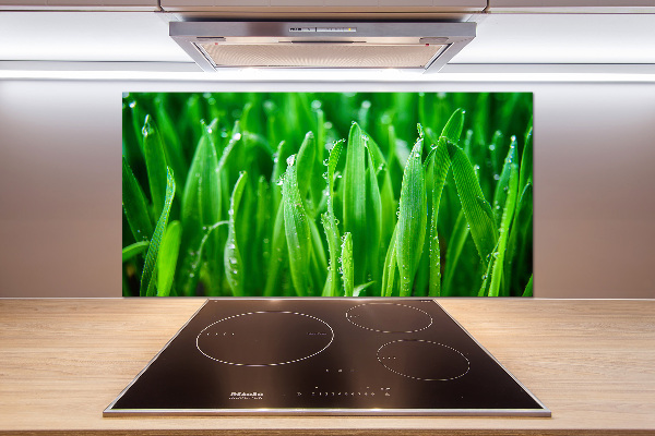Keuken achterwand Gras