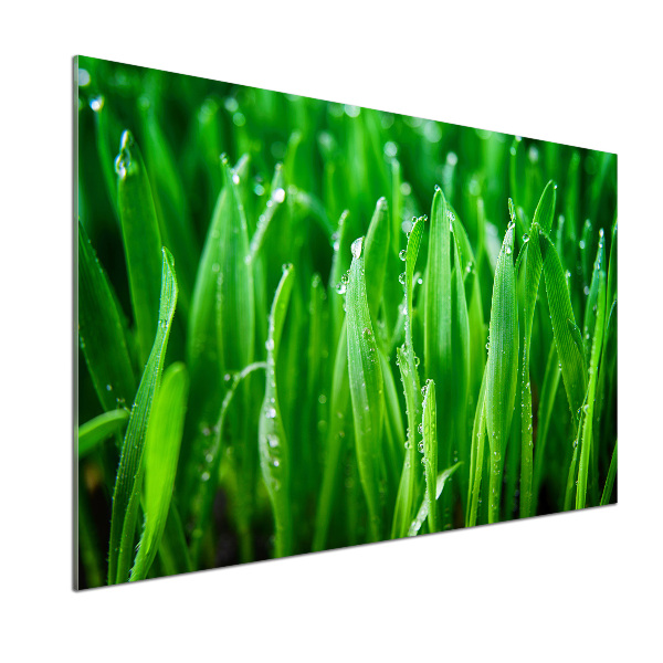 Keuken achterwand Gras