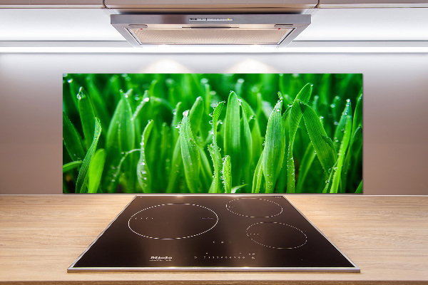 Keuken achterwand Gras