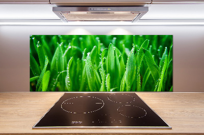 Keuken achterwand Gras