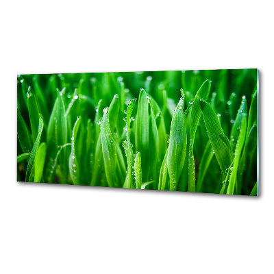 Keuken achterwand Gras