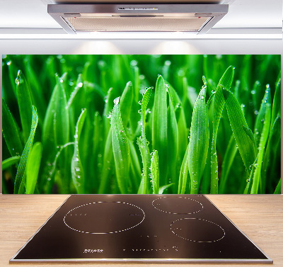 Keuken achterwand Gras