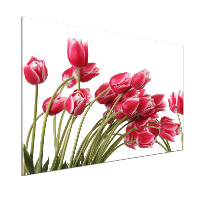 Glazen achterwand keuken Rode tulpen