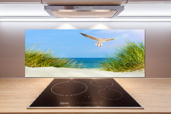 Keuken achterwand Meeuw op het strand