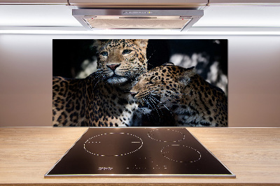 Achterwand keuken Twee luipaarden