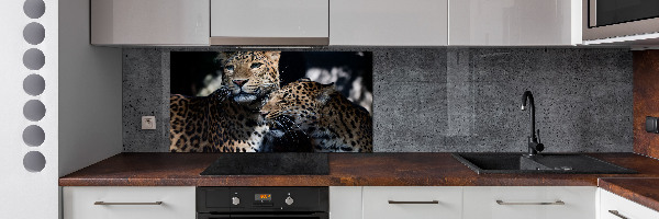 Achterwand keuken Twee luipaarden