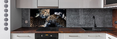 Achterwand keuken Twee luipaarden