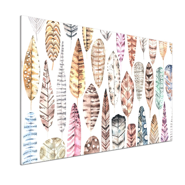 Keuken achterwand Kleurrijke veren