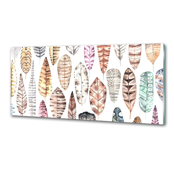 Keuken achterwand Kleurrijke veren