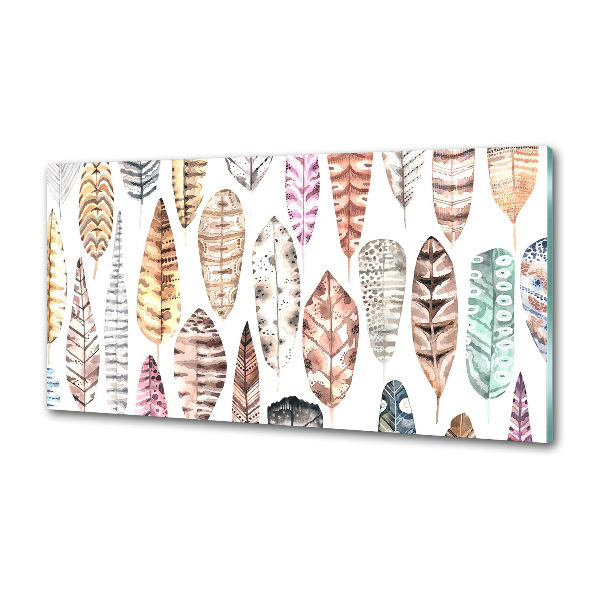 Keuken achterwand Kleurrijke veren