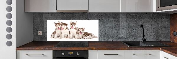 Spatscherm keuken Husky-puppy's