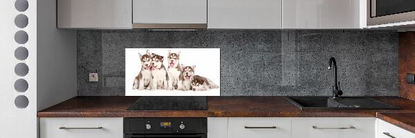 Spatscherm keuken Husky-puppy's