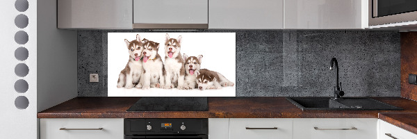 Spatscherm keuken Husky-puppy's