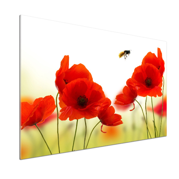 Achterwand keuken Klaprozen