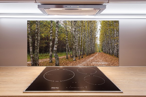 Achterwand keuken Berkenlaan