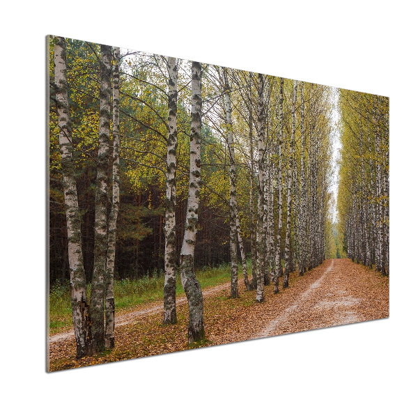 Achterwand keuken Berkenlaan