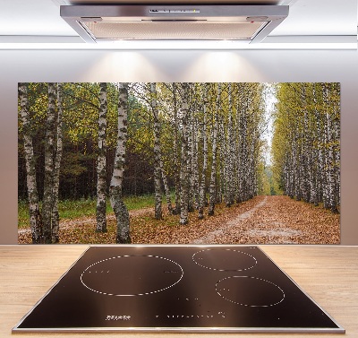 Achterwand keuken Berkenlaan