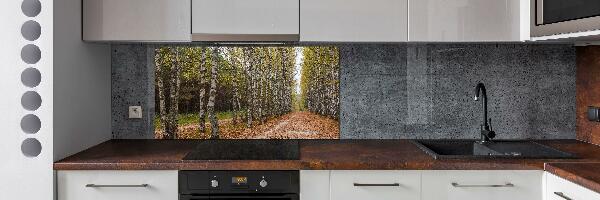 Achterwand keuken Berkenlaan