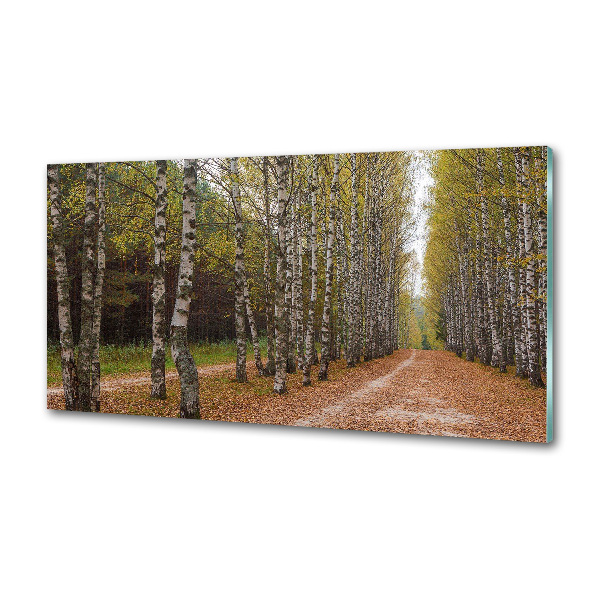 Achterwand keuken Berkenlaan