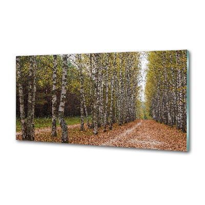 Achterwand keuken Berkenlaan