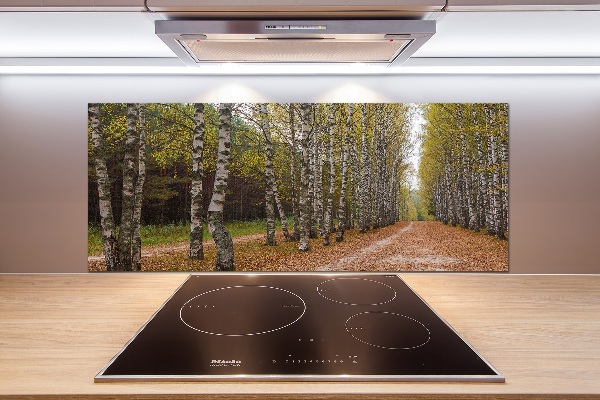 Achterwand keuken Berkenlaan