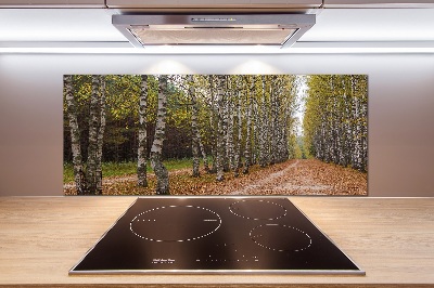 Achterwand keuken Berkenlaan