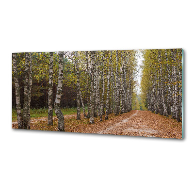 Achterwand keuken Berkenlaan