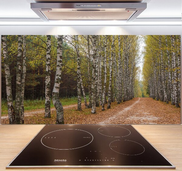 Achterwand keuken Berkenlaan