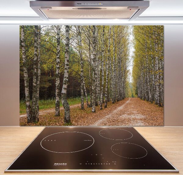 Achterwand keuken Berkenlaan