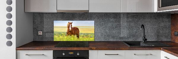 Glazen achterwand keuken Bruin paard