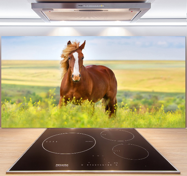 Glazen achterwand keuken Bruin paard