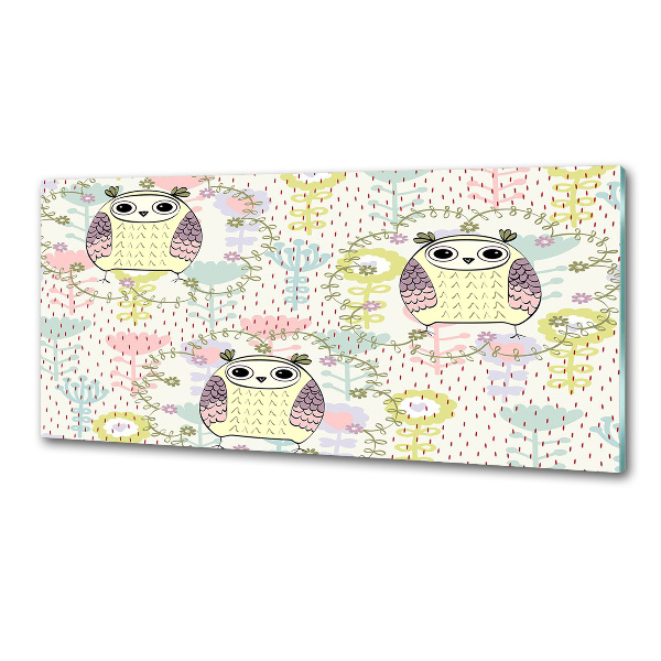 Glazen achterwand keuken Uilen