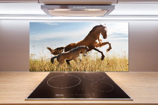 Keuken achterwand Merrie met veulen