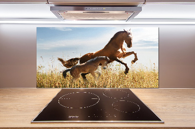 Keuken achterwand Merrie met veulen