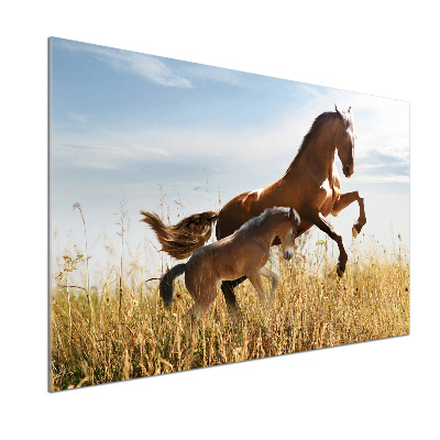 Keuken achterwand Merrie met veulen