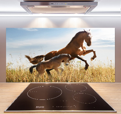 Keuken achterwand Merrie met veulen