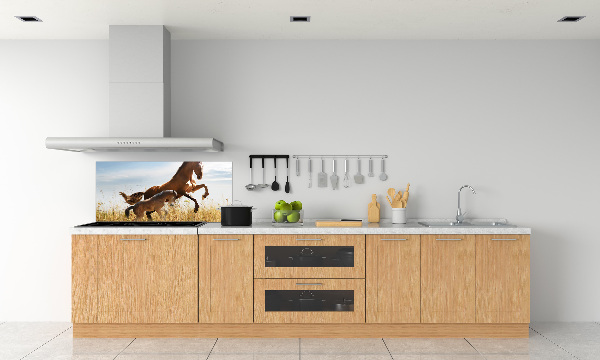 Keuken achterwand Merrie met veulen