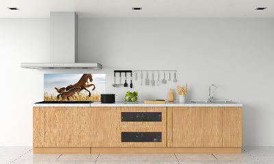 Keuken achterwand Merrie met veulen