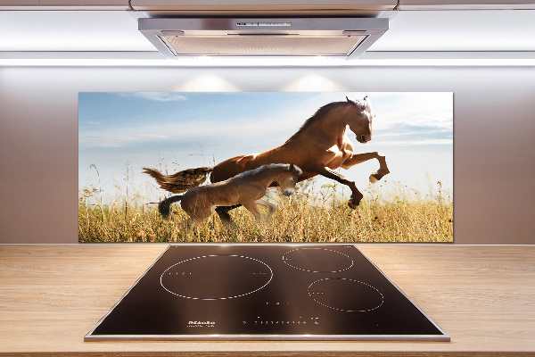 Keuken achterwand Merrie met veulen