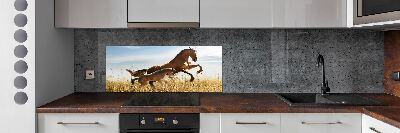 Keuken achterwand Merrie met veulen