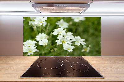 Spatplaat keuken Lentebloemen