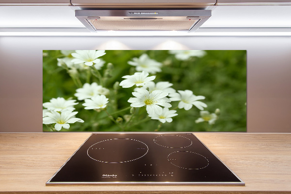 Spatplaat keuken Lentebloemen