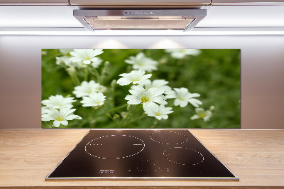 Spatplaat keuken Lentebloemen