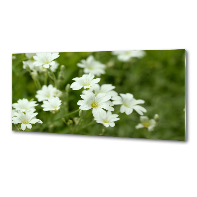 Spatplaat keuken Lentebloemen