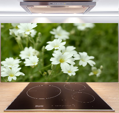 Spatplaat keuken Lentebloemen