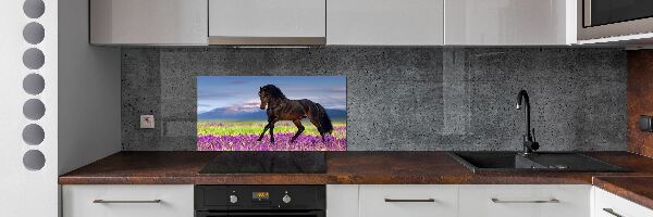 Achterwand keuken Een paard in een lavendelveld