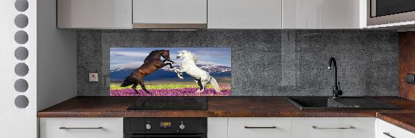 Spatscherm keuken Vechtende paarden van de bergen