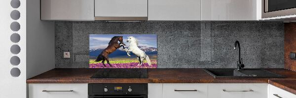 Spatscherm keuken Vechtende paarden van de bergen