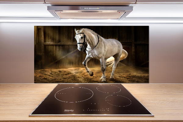 Spatplaat keuken Wit paard in de stal
